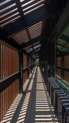 Insight Architects outdoor corridor