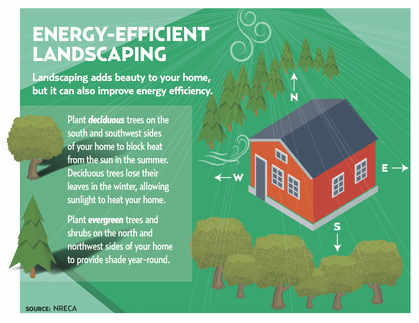 2. Landscaping to Save Energy