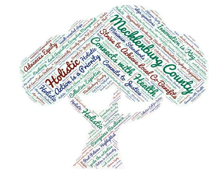 Meck County Word Cloud
