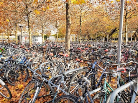 Hundreds of bikes