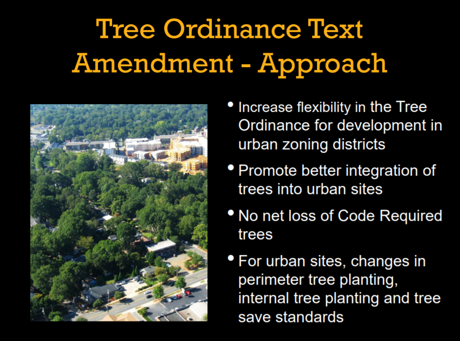 Tree Ordinance Update