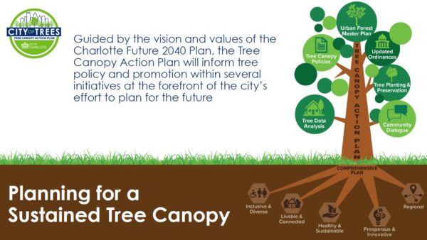 Tree_Canopy_Plan