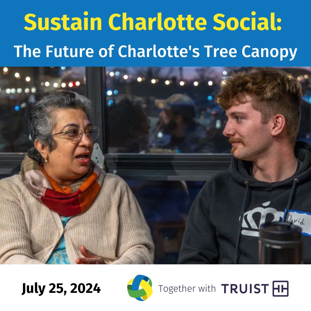 The Future of Charlotte's Tree Canopy