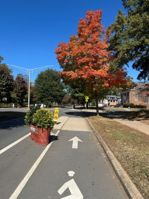 PM bike lane