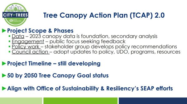 tree canopy action plan