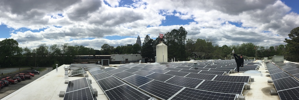 Birdsong roof panels