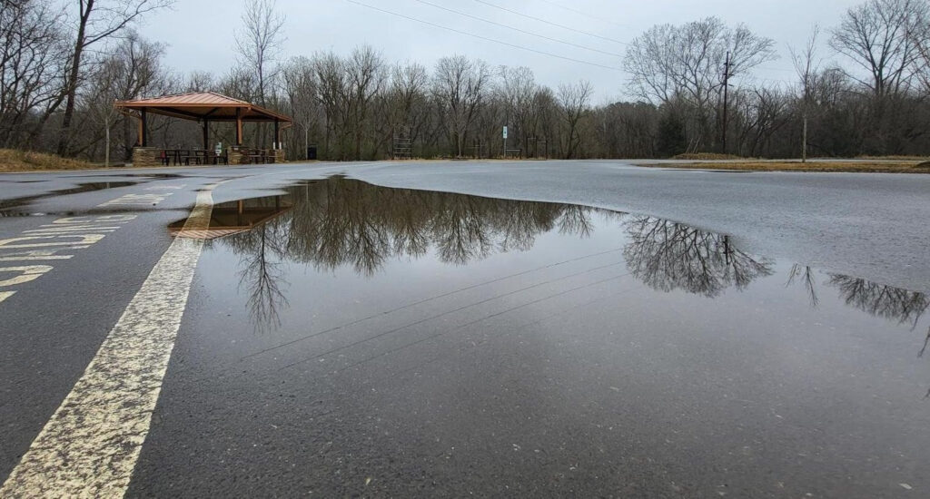 Parking Lot Reform
